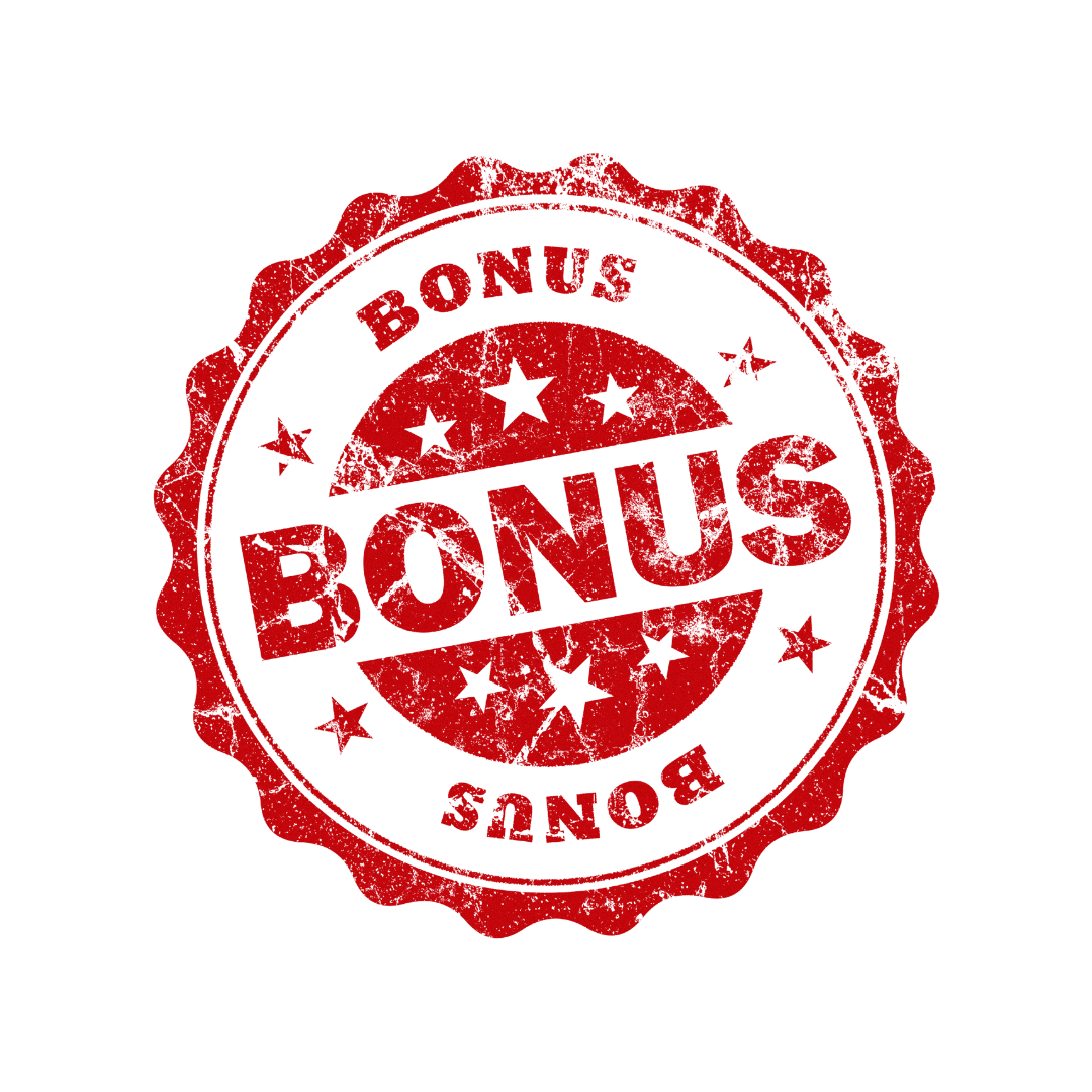 Atviras Blizganti Tvarka namų organizavimo verslo kursų darbo knyga su pastabomis